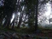 eletmod_tabor_1_20111014_1923875319